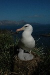 [10011625]