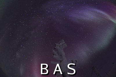 [10010874]