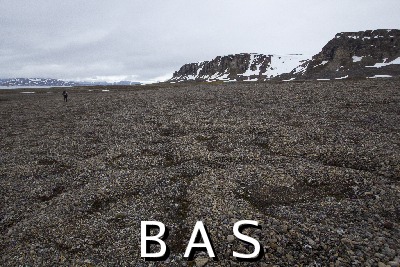 [10011463]