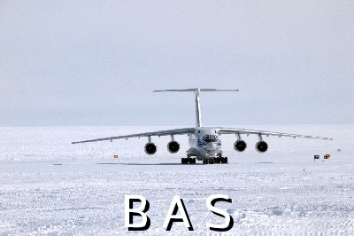 [10011928]
